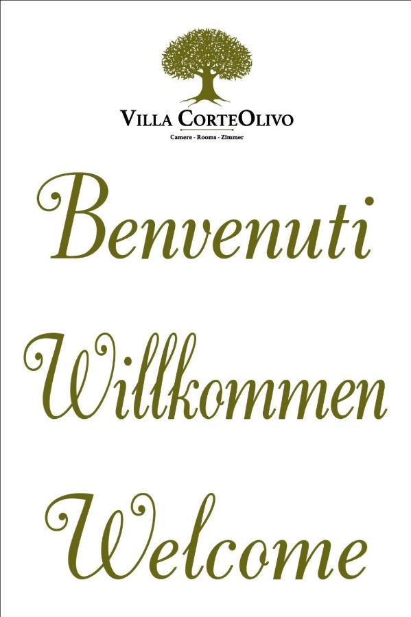 Villa Corteolivo Rooms Torri Del Benaco Exteriér fotografie